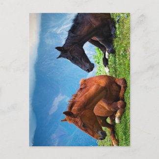 Moody Mountain Horses: Eine Reise in die feine Kun Postkarte