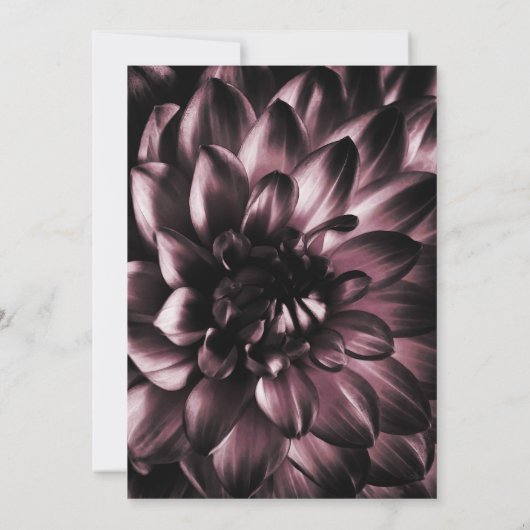 Moody Pink Floral Wedding Einladung (Rückseite)