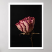 Moody pink Rosa Stillleben feminine Wandkunst Poster (Vorne)
