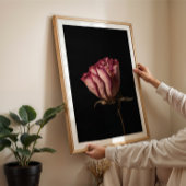 Moody pink Rosa Stillleben feminine Wandkunst Poster