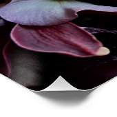Moody Red Floral Poster Art (Ecke)