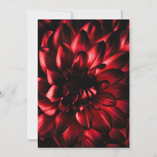 Moody Red Floral Wedding Einladung (Rückseite)