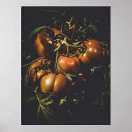 Moody Rustic Tomatoes Vintage Farmhouse Kitchen Poster
