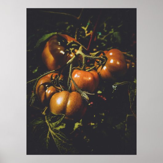 Moody Rustic Tomatoes Vintage Farmhouse Kitchen Poster (Vorne)
