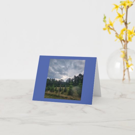 Moody sky and Pines Karte (Gelbe Blume)