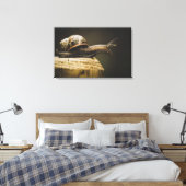 Moody Snail, Slow Down, Leinwand Art Print (Insitu (Schlafzimmer))