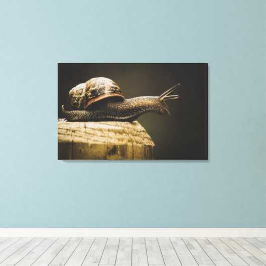 Moody Snail, Slow Down, Leinwand Art Print (Insitu (Holzboden))