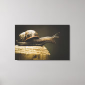 Moody Snail, Slow Down, Leinwand Art Print (Vorderseite)