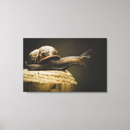 Moody Snail, Slow Down, Leinwand Art Print