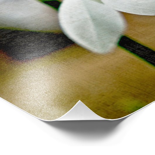 Moody Snowdrop Fotodruck (Ecke)