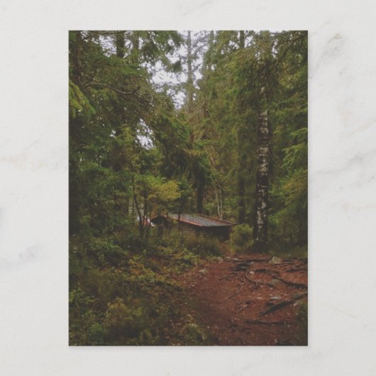 Moody Swedish Forest Postkarte (Vorderseite)