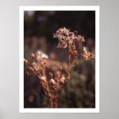 Moody warm Fall Wildblume Bauernmauer Kunst Poster (Vorne)