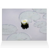 Moody Water Lily (Innenansicht Horizontal (Oben))
