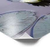 Moody Water Lily Fotodruck (Ecke)