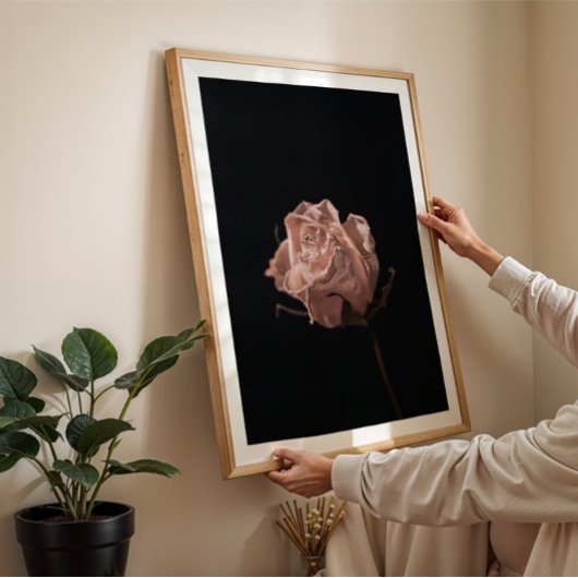 Moody white rose still life feminine wall art poster