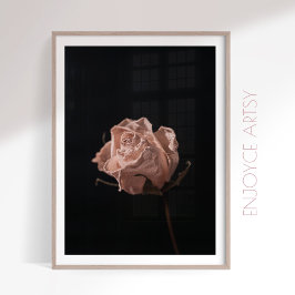 Moody white rose still life feminine wall art poster