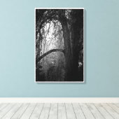 Moody Willow Tree Black and White Landscape Foto Leinwanddruck (Insitu (Holzboden))