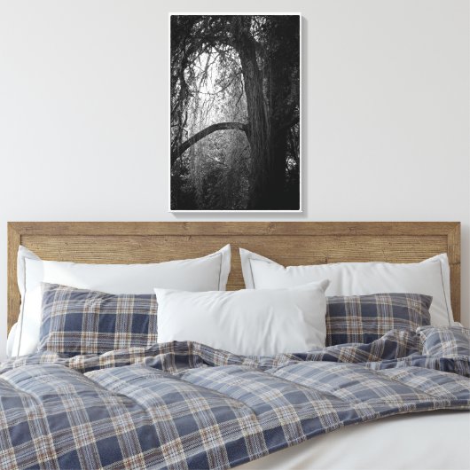 Moody Willow Tree Black and White Landscape Foto Leinwanddruck (Insitu (Schlafzimmer))
