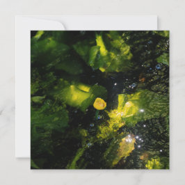 Moody Yellow Water Lily in sparkling light Feiertagskarte