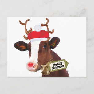 Mooey Merry Christmas Reindeer Cow Feiertagspostkarte