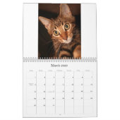 Mooki u. Kiko 2009 Kalender (Mär 2026)
