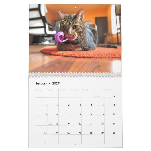 Mooki u. Kiko 2010 Kalender (Jan 2027)