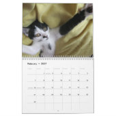 Mooki u. Kiko 2010 Kalender (Feb 2027)