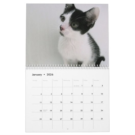 Mooki u. Kiko Kalender (Jan 2026)