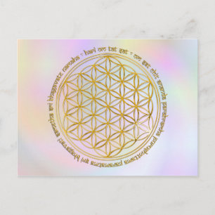 Moola Mantra / Blume des Lebens   Pastell Postkarte