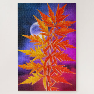 Moon and Leaf Puzzle