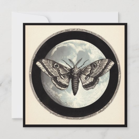 Moon and Moth Vintag Illustration Karte (Vorderseite)