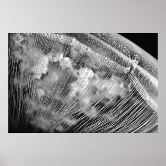 Moon Beads - Poster (Vorne)