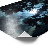 Moon beleuchtet die Nacht hinter Baumzweigen Fotodruck (Ecke)