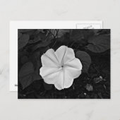 Moon Blume Postkarte (Vorne/Hinten)