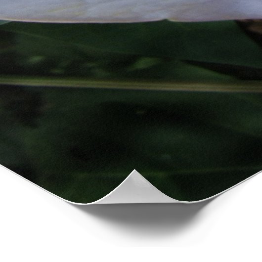 Moon Blume Print Poster (Ecke)