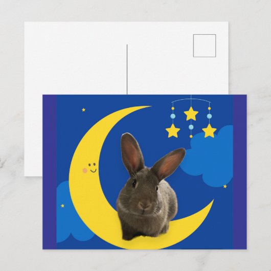 Moon Bunny Postkarte (Vorne/Hinten)