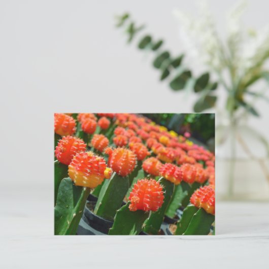 Moon Cactus Postkarte (Stehend Vorderseite)