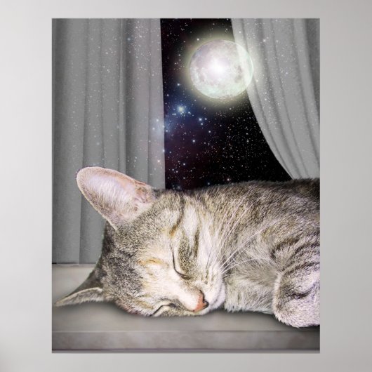 Moon Cat Poster (Vorne)
