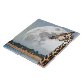 Moon das Steigen über eine Gruppe der Giraffe in Fliese (Seite)