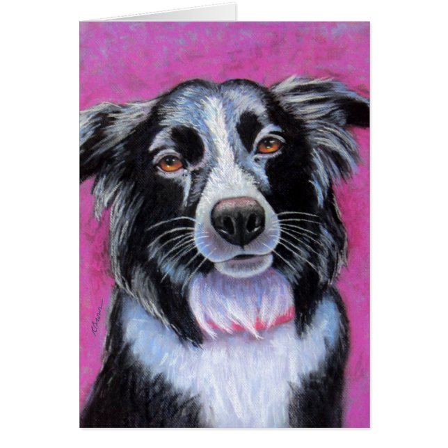 Moon Dog Border Collie (Vorne)