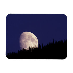 Moon & Forest Glacier Nationalpark Montana Magnet