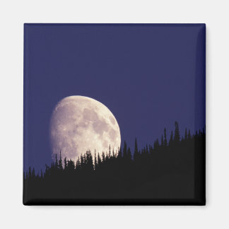 Moon & Forest | Glacier Nationalpark Montana Magnet