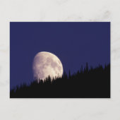Moon & Forest | Glacier Nationalpark Montana Postkarte (Vorderseite)