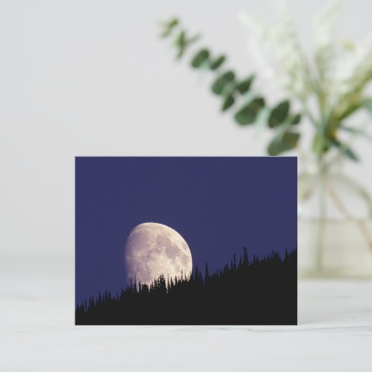 Moon & Forest | Glacier Nationalpark Montana Postkarte (Stehend Vorderseite)