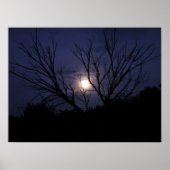 Moon Glow Poster (Vorne)