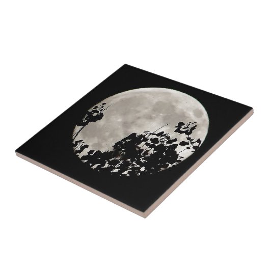 Moon hinter dunklen Blätter Fliese (Seite)