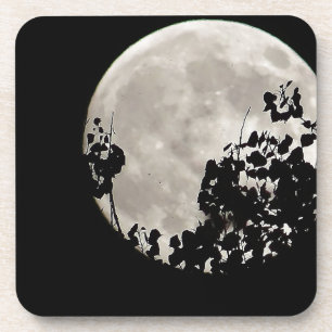 Moon hinter dunklen Blätter Untersetzer