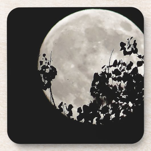Moon hinter dunklen Blätter Untersetzer (Vorderseite)