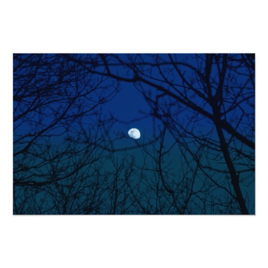 Moon in Ombre Indigo Sky Tree Branches Silhouette Fotodruck (Vorne)