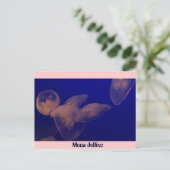 Moon Jellfish, Moon Jellies Postkarte (Stehend Vorderseite)